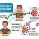Qu'est-ce que la résistance à l'insuline ?